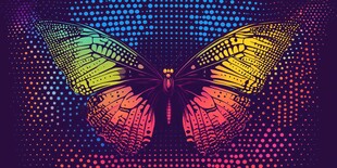 炫彩蝴蝶波点艺术图案