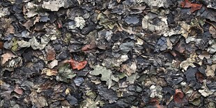 落叶堆积的地面纹理