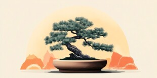 中式盆景 古韵松树之美