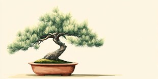 水墨风盆景松树艺术插画