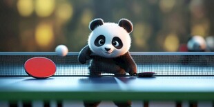 萌熊猫打乒乓球超可爱