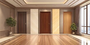 室内三扇精美木门展示