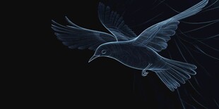 线条勾勒的飞翔小鸟