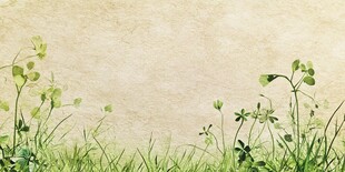 春日草地清新绿意风景