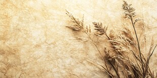 干枯草枝置于复古背景上