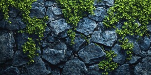 石墙上蔓延的翠绿植物