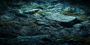 暗调岩石上的斑驳苔藓