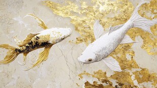 金白锦鲤游弋于奢华背景