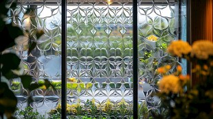 花纹玻璃窗前的绚烂花卉