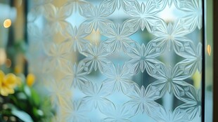 精致花纹磨砂玻璃