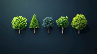 五款别致造型的绿色树木