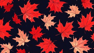 枫叶图案背景 色彩鲜艳