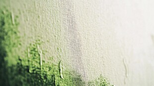 墙面斑驳绿痕纹理特写