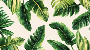 热带芭蕉叶图案背景图