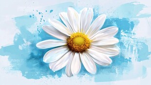 蓝底雏菊水彩风美丽花卉