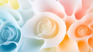 梦幻多彩纸艺玫瑰花绽放