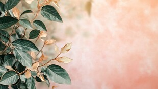 绿叶繁花 柔美自然景致