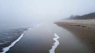 雾霭中的静谧海滩