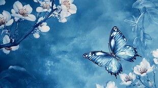 蓝蝶戏花 梦幻唯美图景