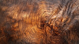 古老木纹的独特纹理之美