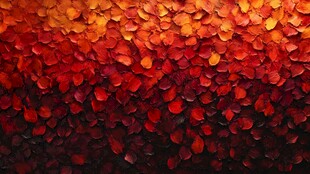 红橙渐变玫瑰花瓣背景图