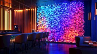 梦幻炫彩酒吧内景