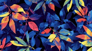 多彩秋叶图案背景纹理