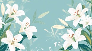 清新百合花卉插画背景
