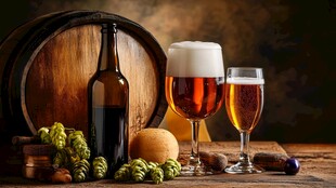 啤酒佳酿与酿酒元素展示