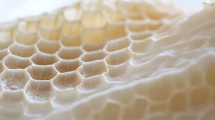 蜂巢特写 细腻精巧的结构之美