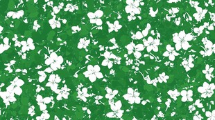 绿色底白色花卉图案背景