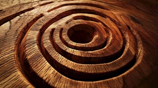 木质同心圆纹理特写
