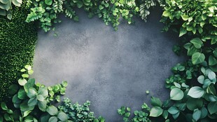 绿植环绕的灰色地面空间