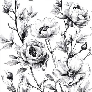 黑白花卉手绘图案