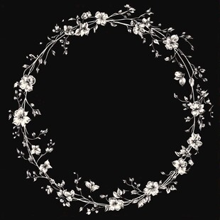 黑白花卉环形装饰图案