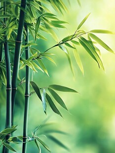 翠绿修竹 尽显自然生机