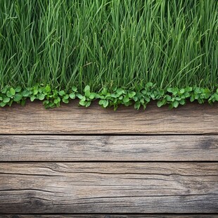 绿草覆木面 清新自然景
