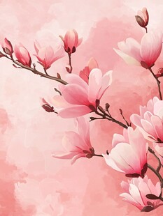 粉色玉兰花枝唯美插画