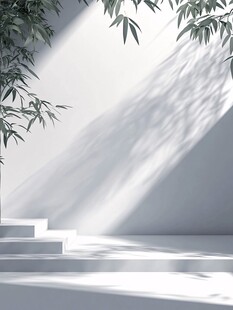 竹影下的光影空间