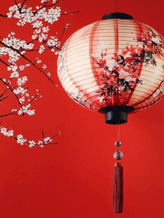 红灯笼伴绽放的梅花