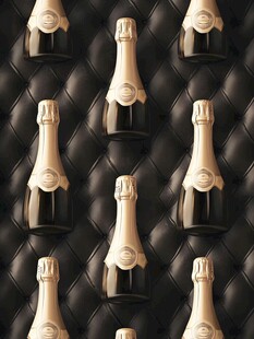 香槟酒瓶排列于黑色皮革面
