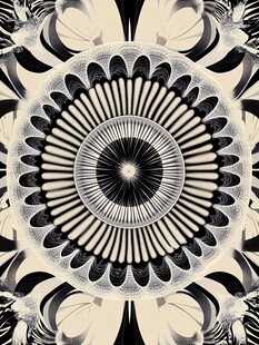 黑白几何花纹对称图案