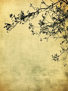 复古风树枝剪影背景图