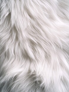 柔软白色毛绒材质特写