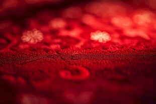 红色蕾丝织物特写