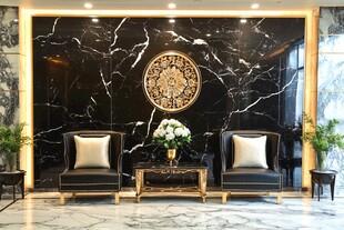 豪华大厅沙发装饰墙景观