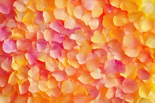 缤纷浪漫花瓣背景图