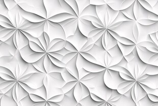 白色立体花朵纹理背景图