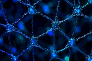 蓝色神经元网络微观景象