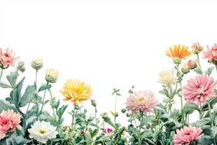 缤纷花卉装点清新画面